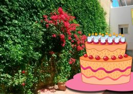 Feliz XI cumpleaños Residencia Madre